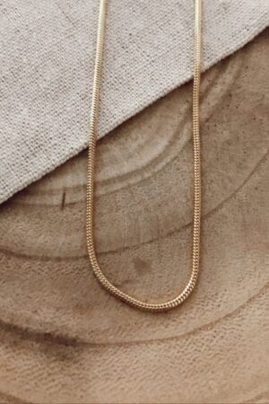 CADENA SIMPLE
